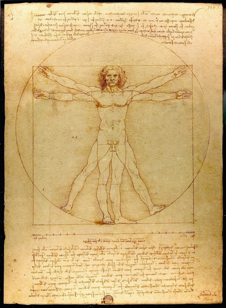 L'homme de Vitruve, Léonard de Vinci, vers 1492, Galerie de l’Académie, Florence
