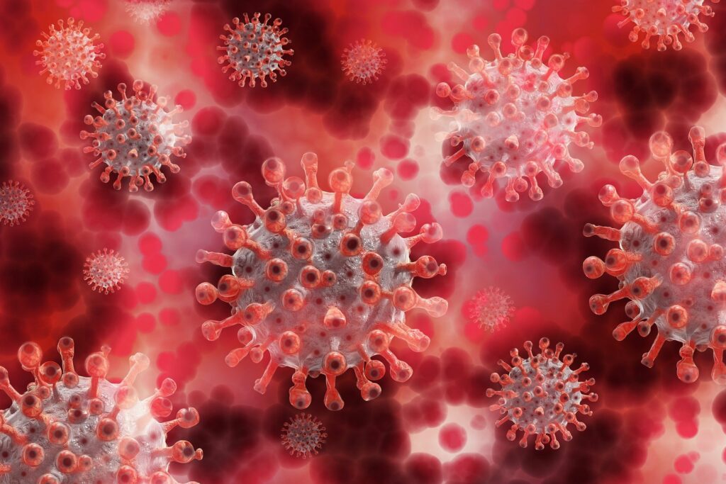 COVID 19 : qu’est-ce que le Coronavirus ?
