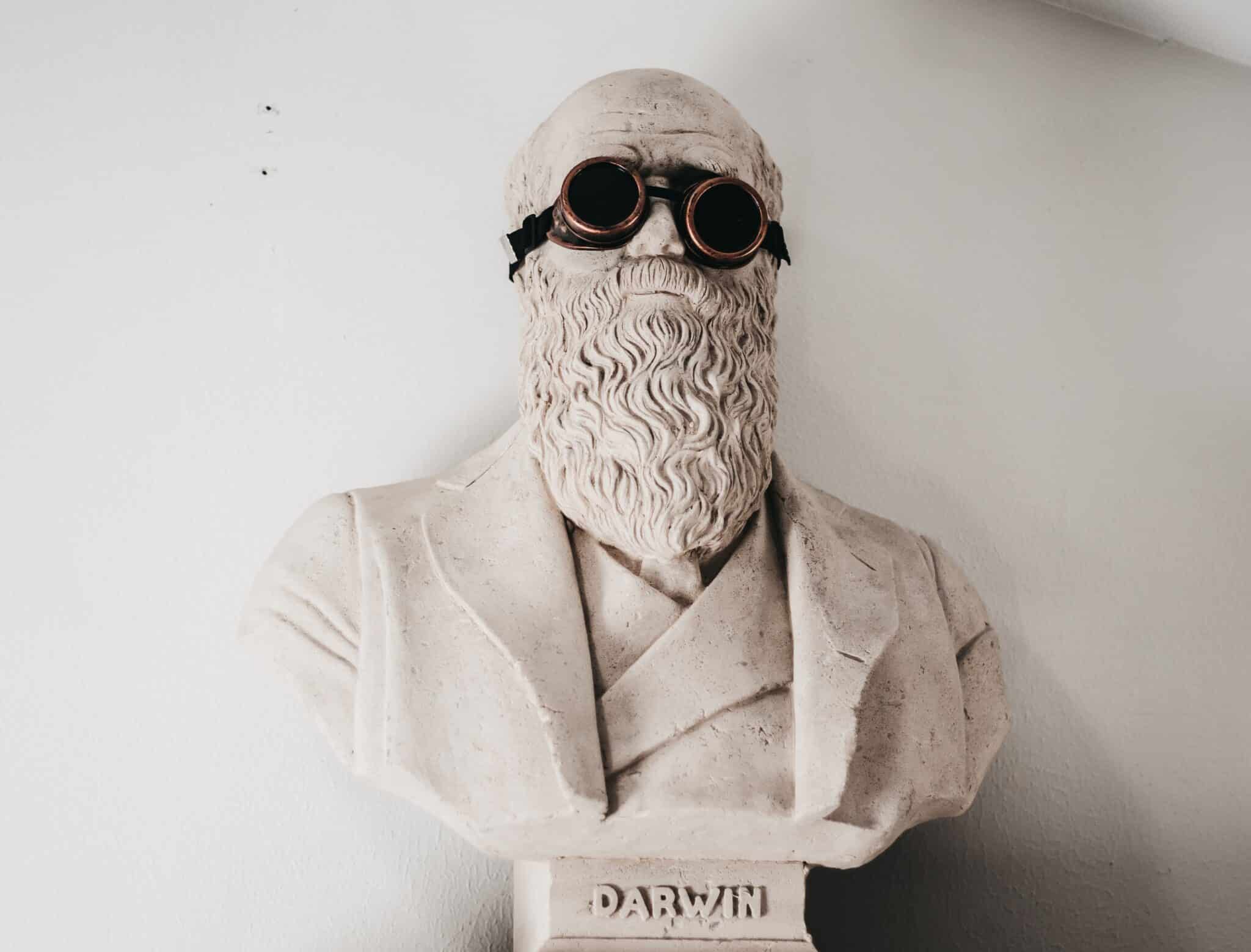 Darwin, entre l'homme et la théorie