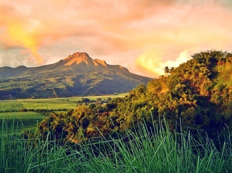 La Montagne Pelée en Martinique. Source : Wikimedia Commons
