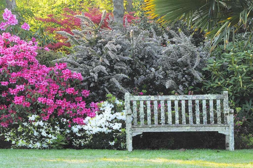 Jardin anglais, place au romantisme