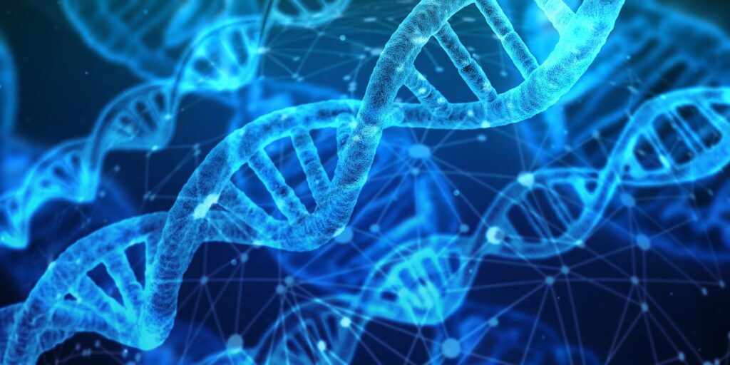 L’ADN, empreinte biologique qui nous rend unique