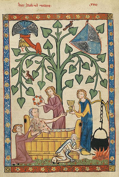 Un homme dans un cuvier - Codex Manesse, entre 1305 et 1340 (source : wikicommons)
