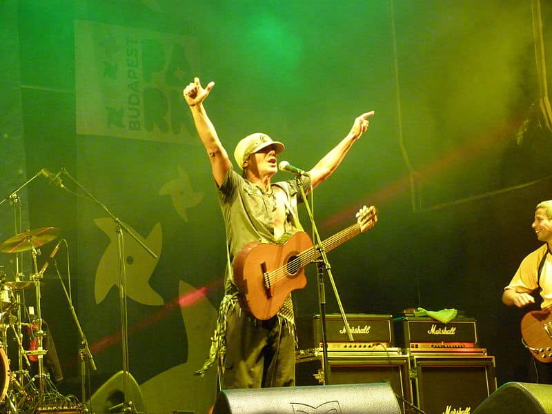 Concert à Budapest en 2013 - Source : Wikicommons
