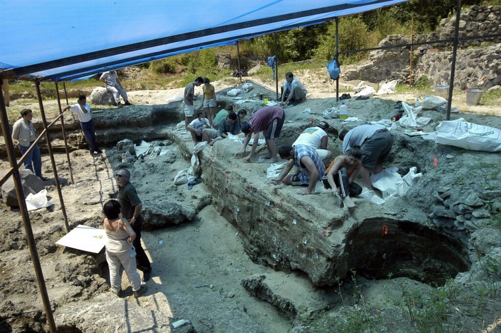 Site de fouilles de Dmanissi, Wikimedia Commons