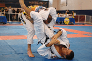 Ju-Jitsu Brésilien
