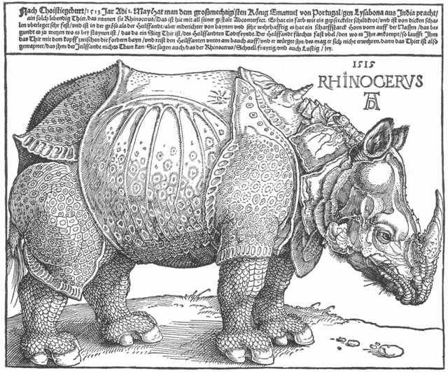 Gravure Rhinocéros de Dürer / © Domaine public, photo libre de droit, commons.wikimedia.org
