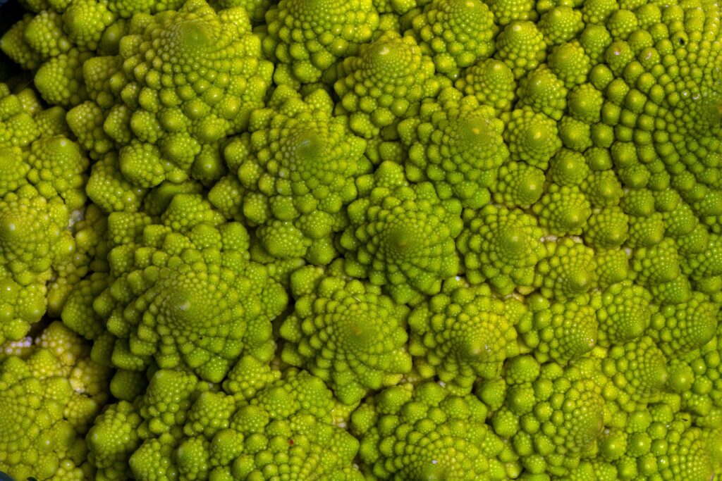 Fractales : chou romanesco / Pixabay, image libre de droit