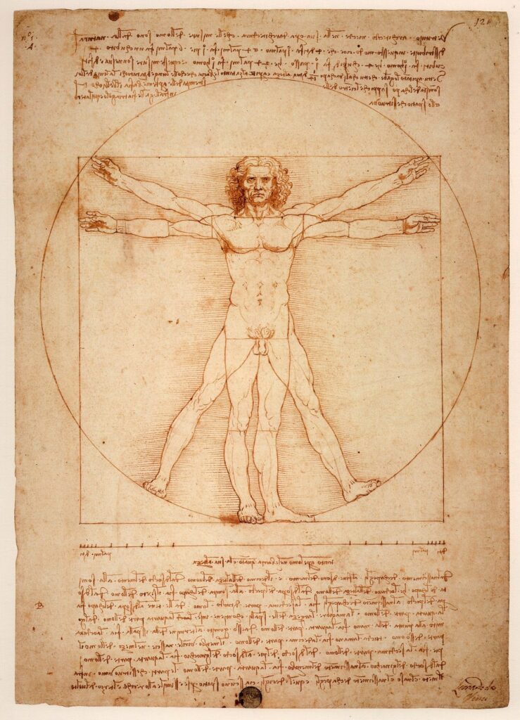 L’Homme de Vitruve, de Léonard de Vinci / Pixabay, image libre de droit