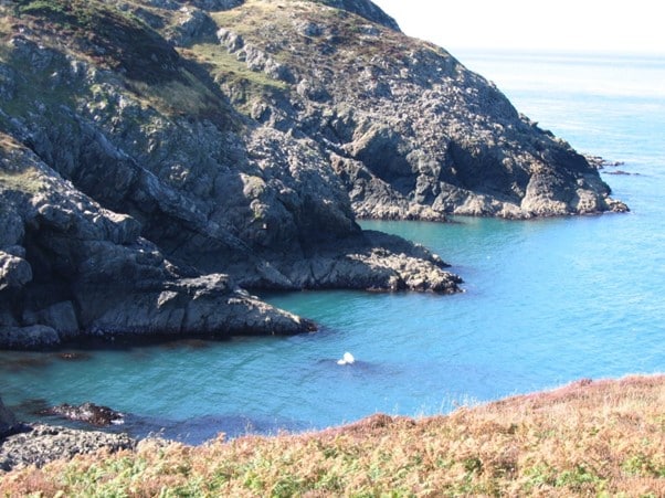 pembrokeshire cost national park gallois (Creativ Commons)